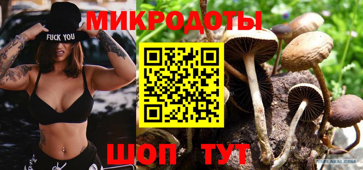 Галлюциногенные грибы GOLDEN TEACHER Печора