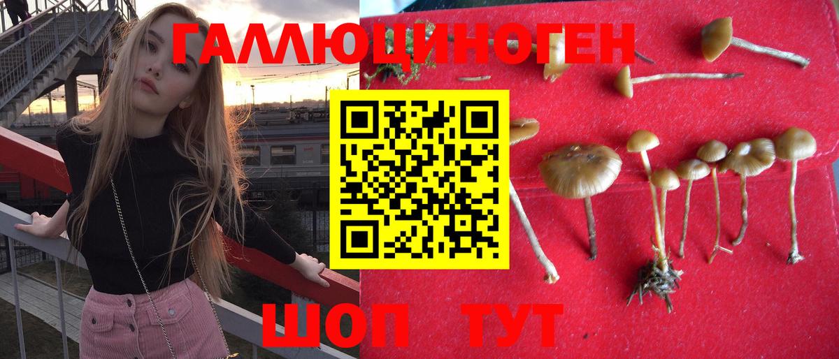 Галлюциногенные грибы Psilocybe  Вход с VPN  Псилоцибиновые грибы Psilocybine cubensis  Печора 